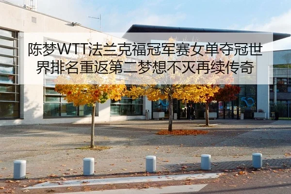 陈梦WTT法兰克福冠军赛女单夺冠世界排名重返第二梦想不灭再续传奇